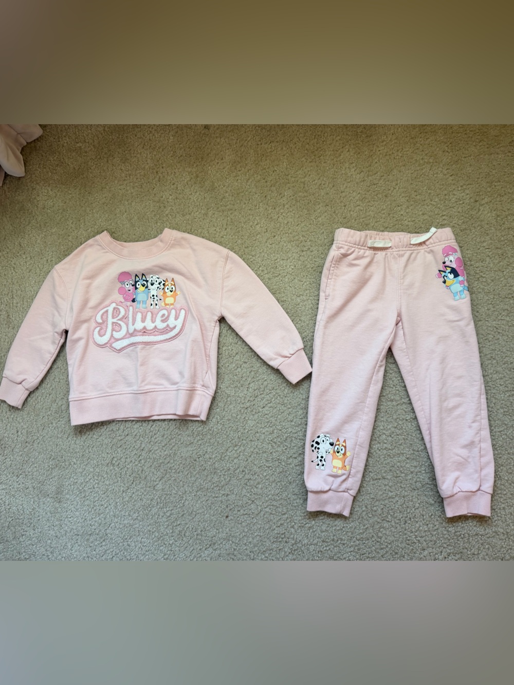 Pink Bluey Sweatshirt and Pants Set 4T